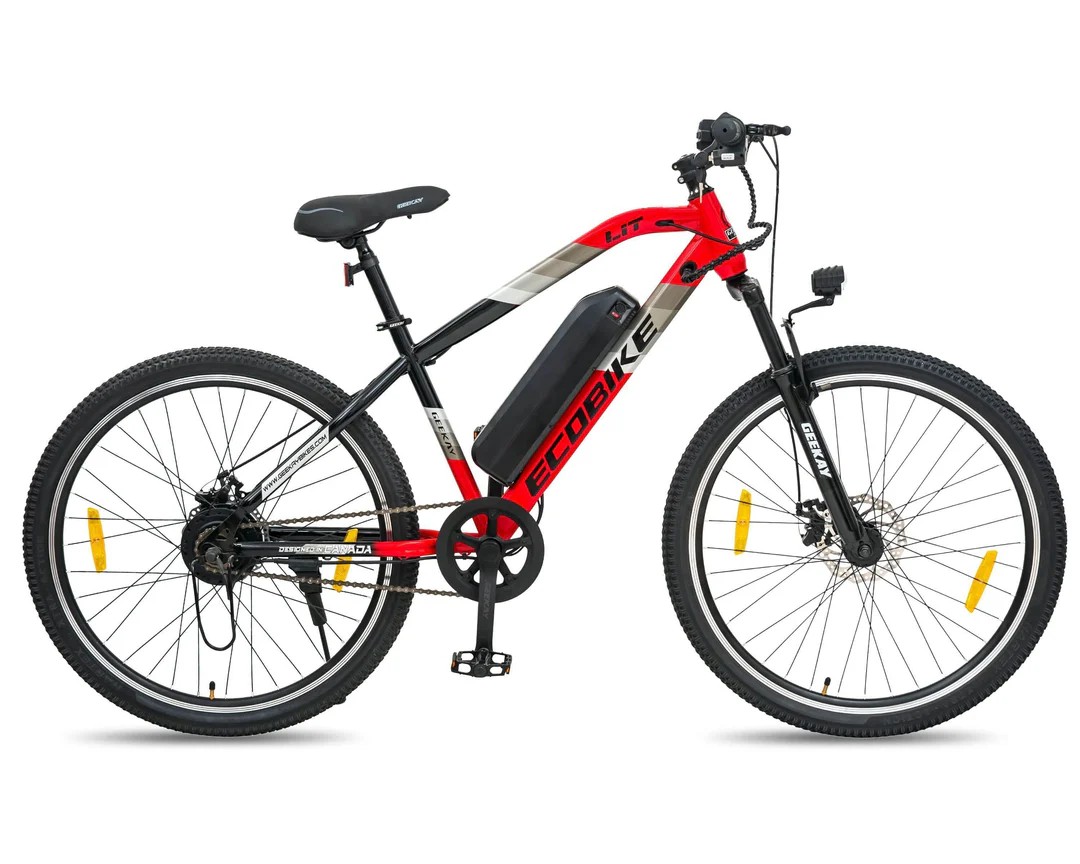 1st Prize: Electric Cycle